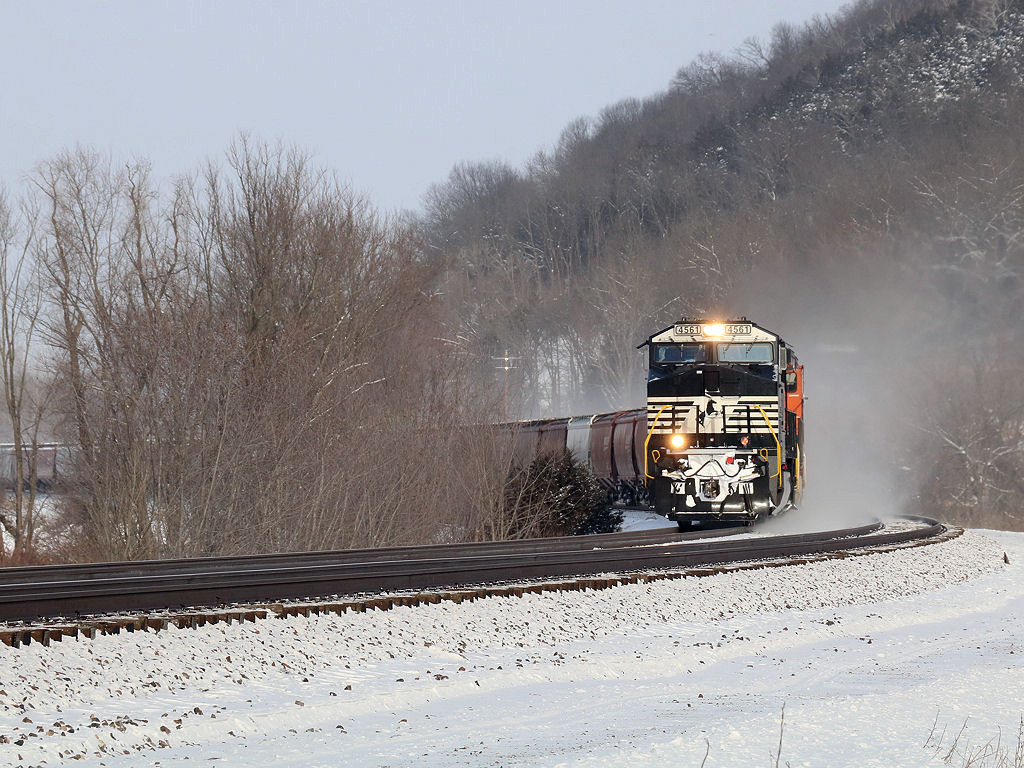 NS 4561